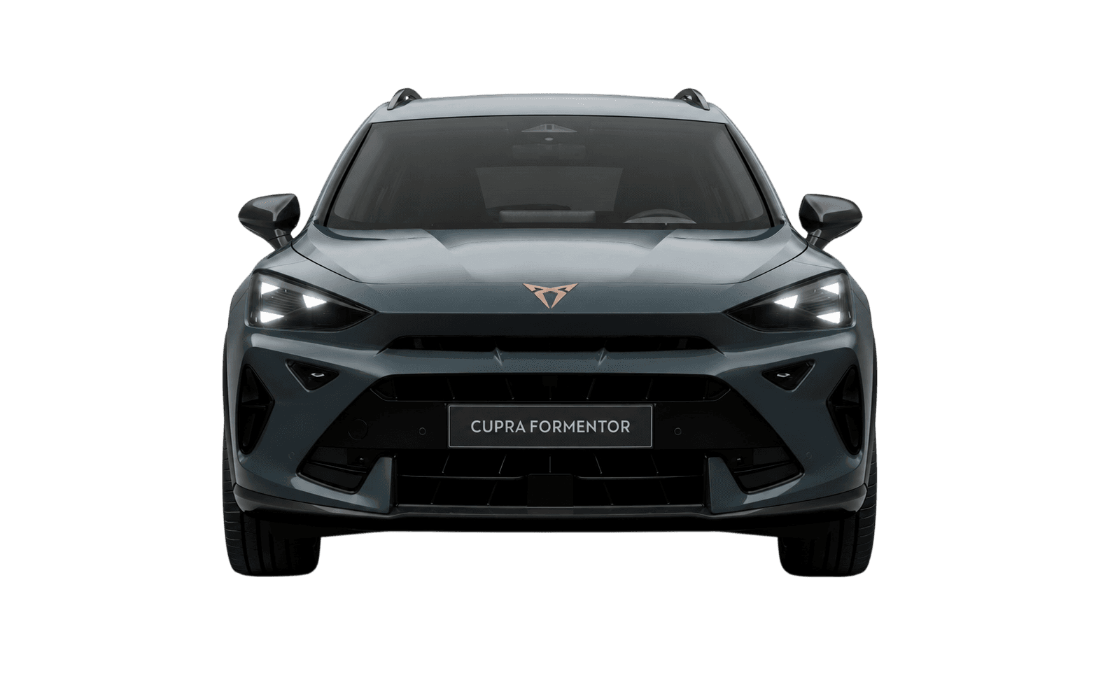 CUPRA FORMENTOR 2.0 TDI 110kW Business DSG
