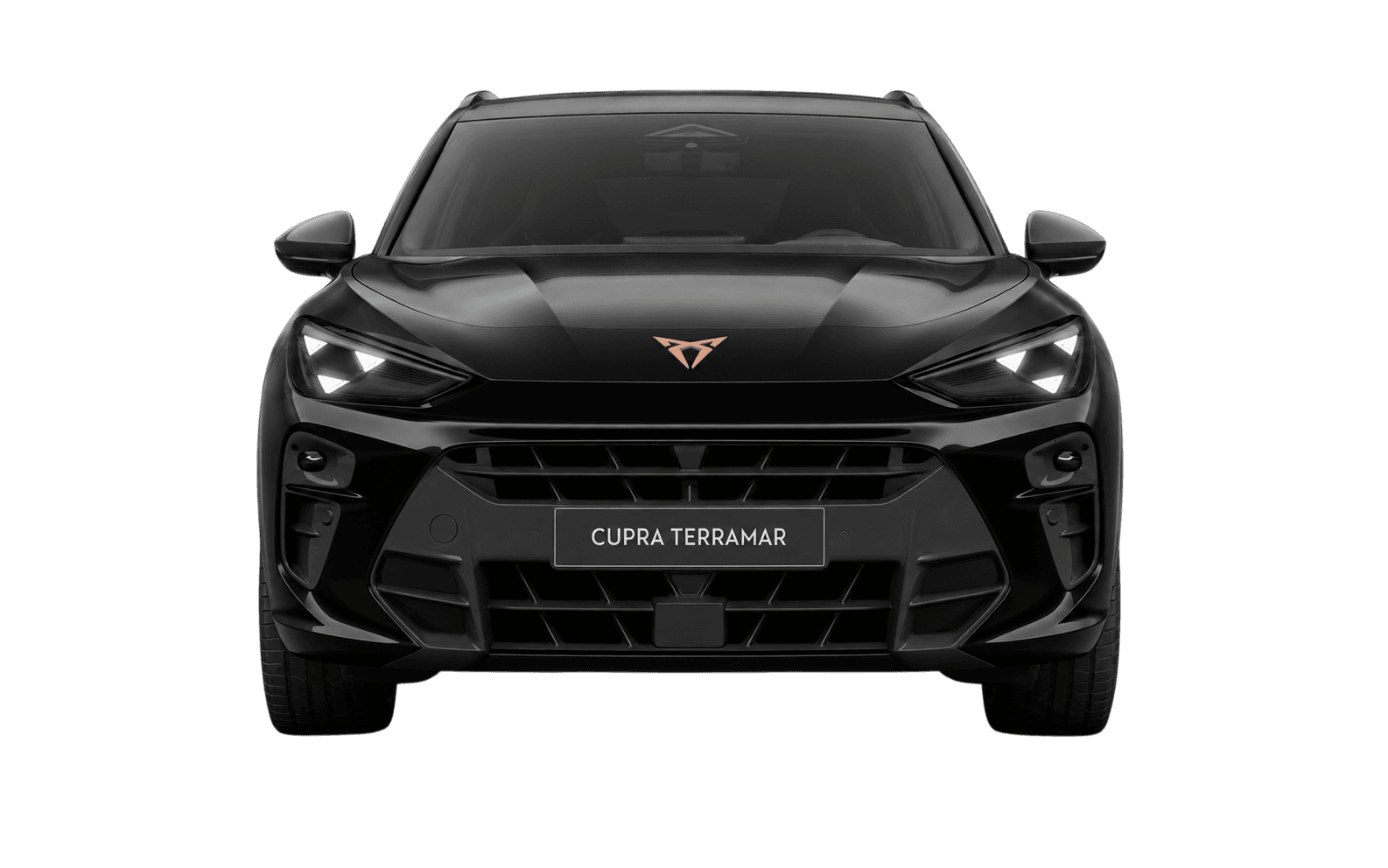 CUPRA TERRAMAR 1.5 HYBRID DSG Business
